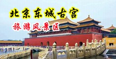 骚b美女主播求操中国北京-东城古宫旅游风景区